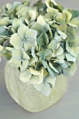 HYDRANGEA FLOWERS IN SEA GREEN VASE