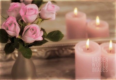 PINK_ROSES_AND_CANDLES_IN_FRONT_OF_A_MIRROR