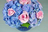 HYDRANGEA FLOWERS WITH ROSES