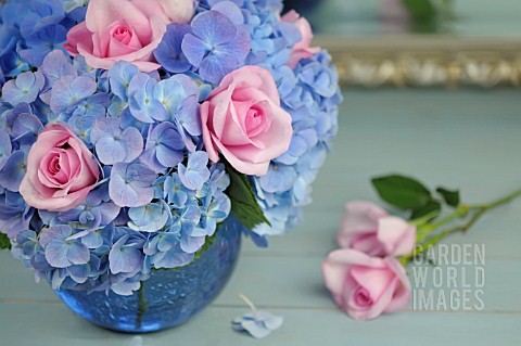 HYDRANGEA_FLOWERS_WITH_ROSES
