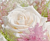 PASTEL COLOURED ARRANGEMENT WITH ROSES, ASTILBE AND GRASSES
