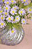 BOUQUET OF LILAC BLUE AUTUMN ASTERS