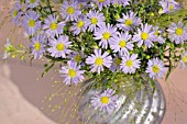 BOUQUET OF LILAC BLUE AUTUMN ASTERS