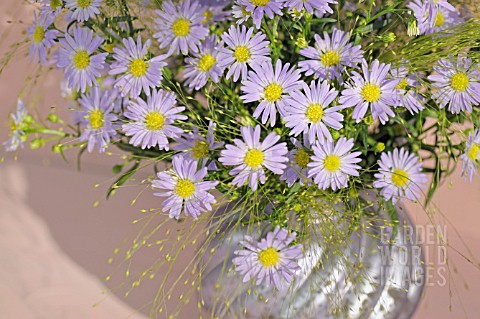 BOUQUET_OF_LILAC_BLUE_AUTUMN_ASTERS