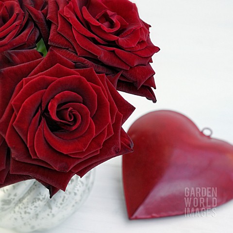 RED_ROSES_ARRANGEMENT_AND_A_DEEP_RED_HEART_ON_WHITE_TABLE