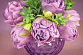 ARRANGEMENT OF PURPLE PEONIES AND TULIPS IN GLASS VASE