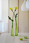 TWO YELLOW ZANTEDESCHIA FLOWERS IN GREEN VASES