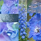 BLUE SUMMER COLLAGE