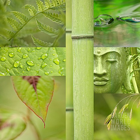 SQUARE_GREEN_COLLAGE_OF_SEVEN_IMAGES