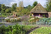 KITCHEN GARDEN IN AUTUMN AT RHS ROSEMOOR, TORRINGTON, DEVON