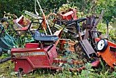 LAWN MOWERS GRAVEYARD