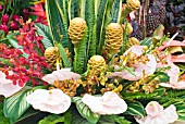 ANTHURIUMS, TURMERIC AND ORCHIDS IN AN ARRANGEMENT ON TRINIDAD AND TOBAGO EXHIBIT