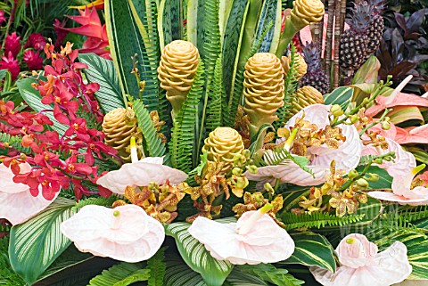 ANTHURIUMS_TURMERIC_AND_ORCHIDS_IN_AN_ARRANGEMENT_ON_TRINIDAD_AND_TOBAGO_EXHIBIT