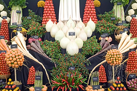 EXHIBIT_OF_VEGETABLES_BY_MEDWYN_WILLIAMS_AT_HAMPTON_COURT_FLOWER_SHOW_2007