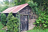 OLD GARDEN SHED WITH TIN ROOF