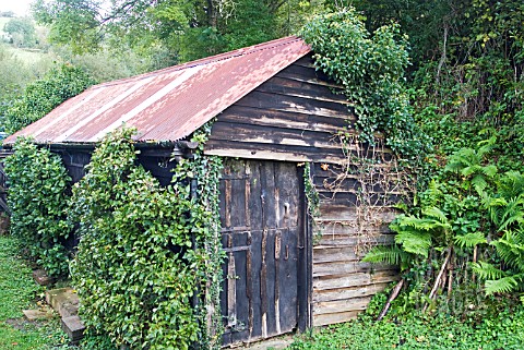 OLD_GARDEN_SHED_WITH_TIN_ROOF