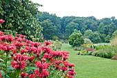 THE LONG BORDERS AT HARLOW CARR GARDEN WITH MONARDA GARDENVIEW SCARLET IN THE FOREGROUND