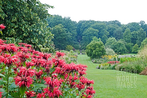 THE_LONG_BORDERS_AT_HARLOW_CARR_GARDEN_WITH_MONARDA_GARDENVIEW_SCARLET_IN_THE_FOREGROUND