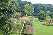 THE LONG BORDERS AT HARLOW CARR GARDEN, HARROGATE, WITH ALLIUM SEED HEADS IN FOREGROUND.