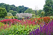 THE LONG BORDERS AT HARLOW CARR GARDEN SHOWING MONARDA, PERSICARIA AMPLEXICAULIS, SALVIA NEMOROSA, HELENIUM, THALICTRUM AND OTHER PERENNIALS