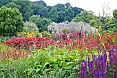 VIEW ACROSS THE LONG BORDERS AT HARLOW CARR GARDEN SHOWING MONARDA, PERSICARIA AMPLEXICAULIS, SALVIA NEMOROSA AND OTHER PERENNIALS