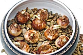 NARCISSUS BULBS IN GRAVEL IN A BOWL, SHOWING BULBS PLACED ON PEBBLES