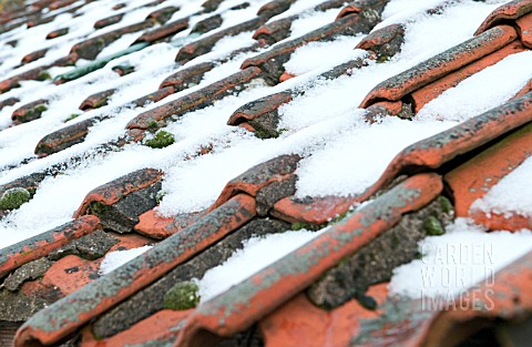 OLD_PANTILE_ROOF_WITH_SNOW