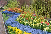 SPRING BEDDING AT RHS ROSEMOOR