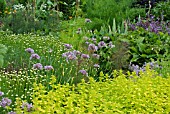 HERB GARDEN AT HARLOW CARR