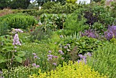 HERB GARDEN AT HARLOW CARR