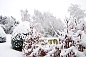 WAKEFIELDS GARDEN IN SNOW STORM