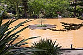 GEOTHERMAL LAKE AT PARQUE TERRA NOSTRA, FURNAS