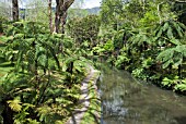 PARQUE TERRA NOSTRA, AZORES