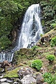 WATERFALL AT RIBEIRA DOS CALDEIROES NATURAL PARK, AZORES