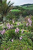 GARDENS AT NORDESTE, AZORES WITH WATSONIAS IN FOREGROUND