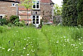 MEADOW IN SPRING AT WAKEFIELDS GARDEN