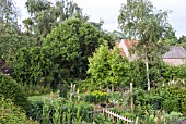 WAKEFIELDS GARDEN VIEW FROM KITCHEN GARDEN