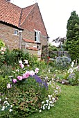 PEONIA SARAH BERNHARDT AND OTHER PERENNIALS AT WAKEFIELDS GARDEN