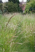 WAKEFIELDS GARDEN IN SUMMER SHOWING MEADOW