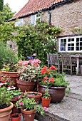 POTS ON TERRACE IN WAKEFIELDS GARDEN