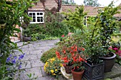 WEST TERRACE AT WAKEFIELDS GARDEN WITH CONTAINER PLANTS