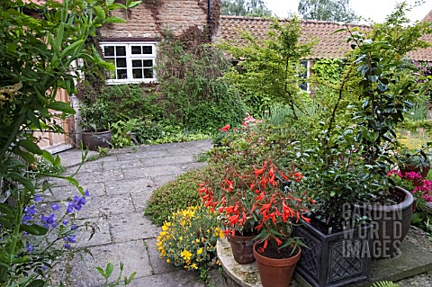 WEST_TERRACE_AT_WAKEFIELDS_GARDEN_WITH_CONTAINER_PLANTS