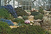 ALPINE HOUSE AT THE RHS GARDEN WISLEY SHOWING PLANTS GROWING IN TUFA