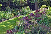 SHADE GARDEN AT WAKEFIELDS, HACONBY