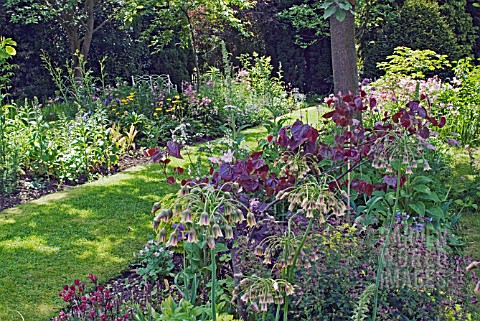SHADE_GARDEN_AT_WAKEFIELDS_HACONBY