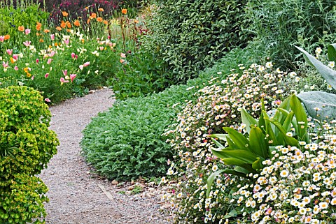 THE_DRY_GARDEN_AT_HYDE_HALL_WITH_ERIGERON_KARVINSKIANUS_IN_THE_FOREGROUND_RIGHT