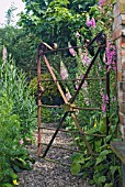 GATEWAY TO WALTERS COTTAGE GARDEN