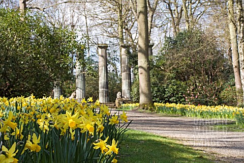 HARLOW_CARR_GARDENS_WITH_NARCISSUS_FEBRUARY_GOLD_IN_FOREGROUND