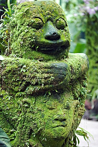 MOSS_ENCRUSTED_IDOL_AT_SINGAPORE_NATIONAL_ORCHID_GARDEN