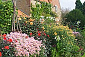 AUTUMN BORDER AT WAKEFIELDS IN SEPTEMBER WITH CHRYSANTHEMUMS MARY STOKER, (APRICOT) AND CLARA CURTIS, (PINK) WITH  DAHLIAS AND OTHER AUTUMN PERENNIALS